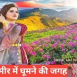 kashmir me ghumne ki jagah top 5 – travel guide by mohit meena kashmir me ghumne ki jagah