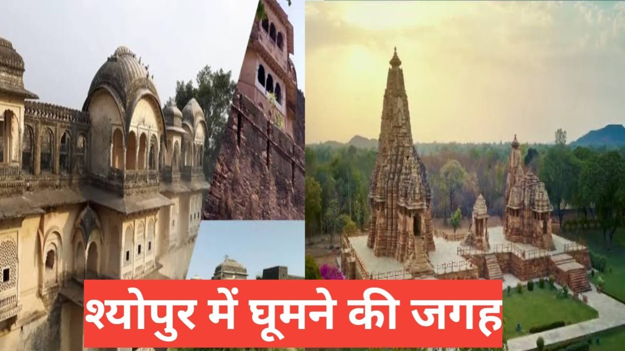 Sheopur Me Ghumne Ki Jagah